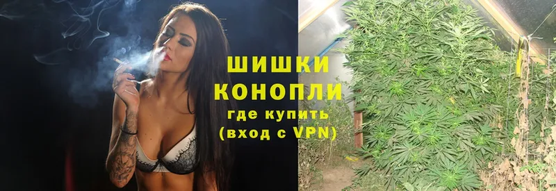 наркота  Балтийск  Марихуана SATIVA & INDICA 